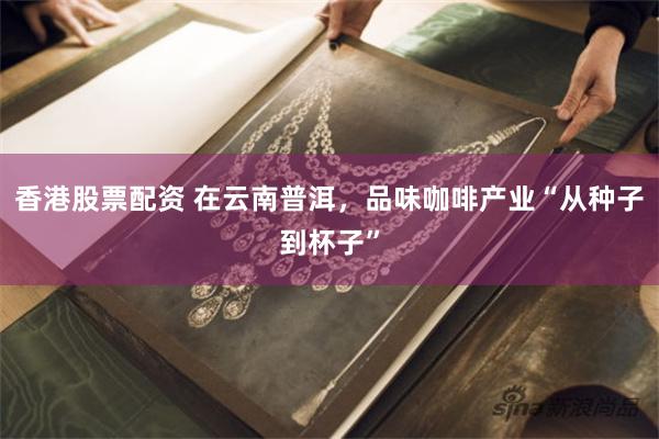 香港股票配资 在云南普洱，品味咖啡产业“从种子到杯子”