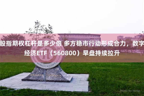 股指期权杠杆是多少倍 多方稳市行动形成合力，数字经济ETF（560800）早盘持续拉升