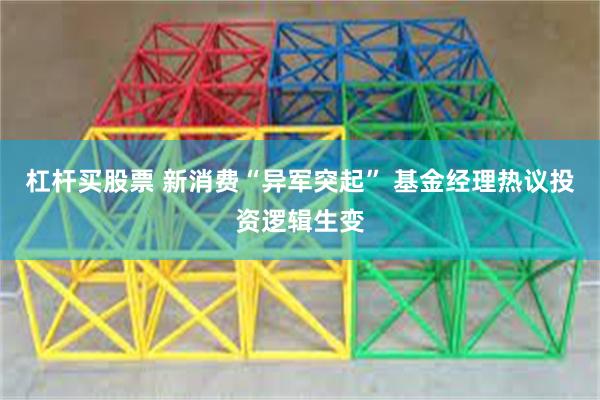 杠杆买股票 新消费“异军突起” 基金经理热议投资逻辑生变