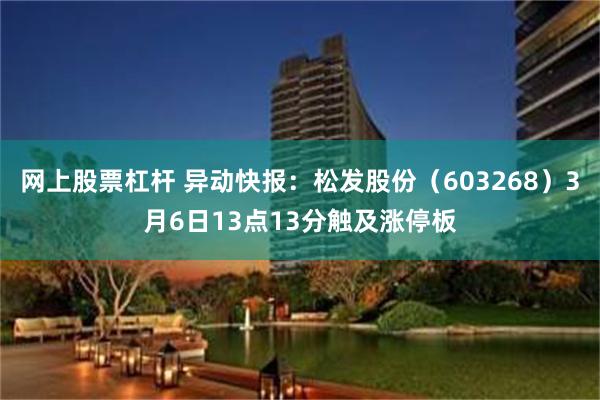 网上股票杠杆 异动快报：松发股份（603268）3月6日13点13分触及涨停板