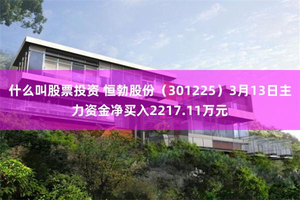 什么叫股票投资 恒勃股份（301225）3月13日主力资金净买入2217.11万元