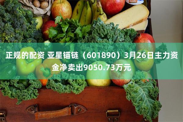 正规的配资 亚星锚链（601890）3月26日主力资金净卖出9050.73万元