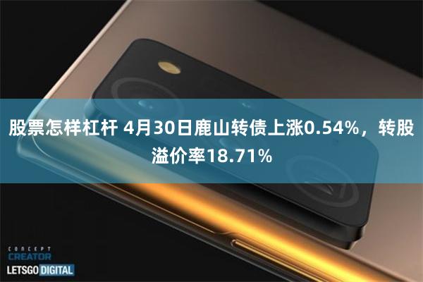 股票怎样杠杆 4月30日鹿山转债上涨0.54%，转股溢价率18.71%