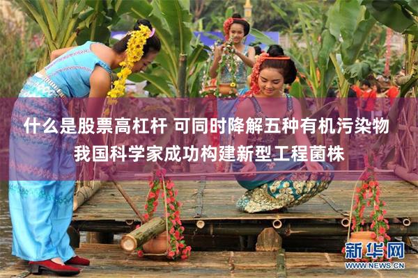 什么是股票高杠杆 可同时降解五种有机污染物 我国科学家成功构建新型工程菌株