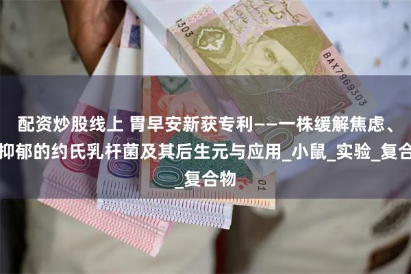 配资炒股线上 胃早安新获专利——一株缓解焦虑、抗抑郁的约氏乳杆菌及其后生元与应用_小鼠_实验_复合物