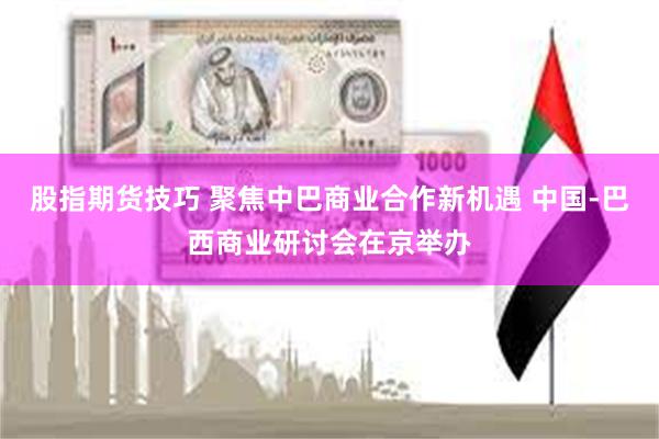 股指期货技巧 聚焦中巴商业合作新机遇 中国-巴西商业研讨会在京举办