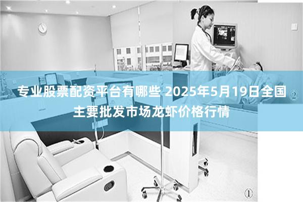 专业股票配资平台有哪些 2025年5月19日全国主要批发市场龙虾价格行情