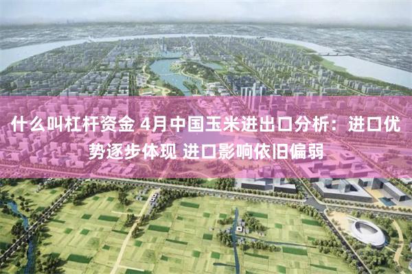 什么叫杠杆资金 4月中国玉米进出口分析：进口优势逐步体现 进口影响依旧偏弱