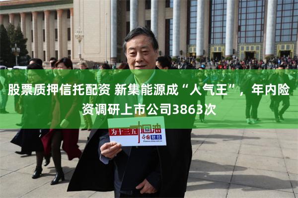 股票质押信托配资 新集能源成“人气王”，年内险资调研上市公司3863次