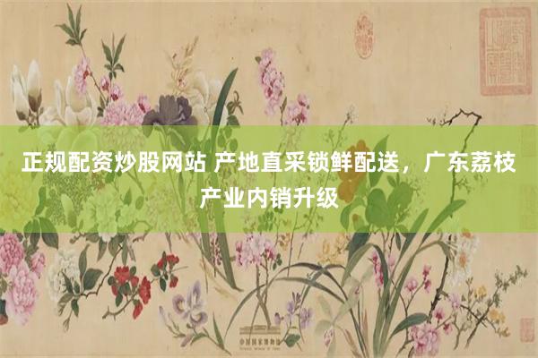 正规配资炒股网站 产地直采锁鲜配送，广东荔枝产业内销升级