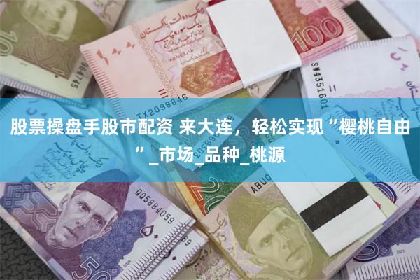 股票操盘手股市配资 来大连，轻松实现“樱桃自由”_市场_品种_桃源