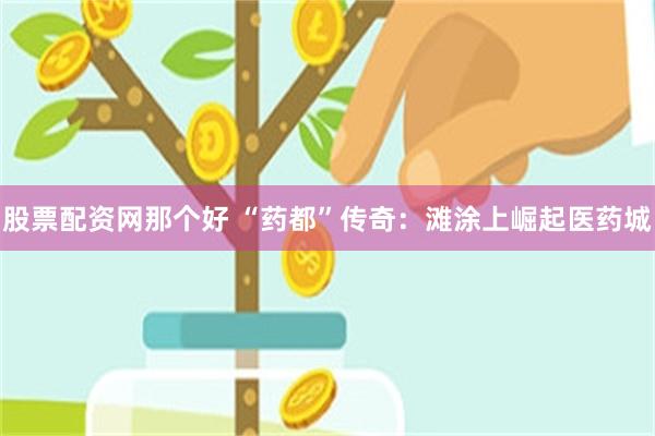 股票配资网那个好 “药都”传奇：滩涂上崛起医药城