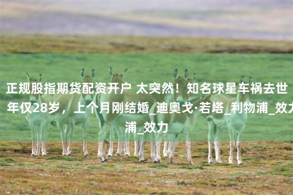 正规股指期货配资开户 太突然！知名球星车祸去世，年仅28岁，上个月刚结婚_迪奥戈·若塔_利物浦_效力